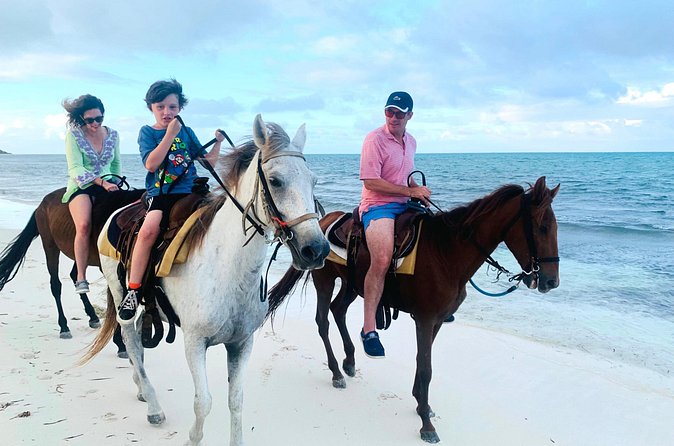 Sunset Horse Ride Experience - Timing at 4:00 pm: How the Sunset Window Works