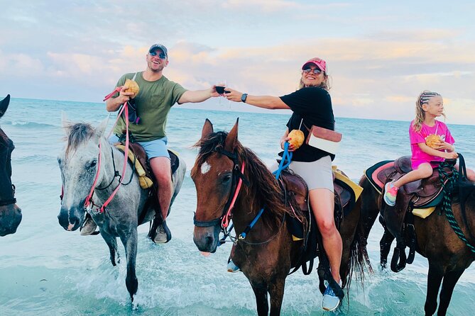 Sunset Horse Ride Experience - Pre-Ride Horse Care, Safety Lessons, and Beginner Comfort