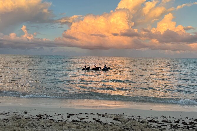 Sunset Horse Ride Experience - Photoshoot Moments, Drinks, and How to Get Better Pictures