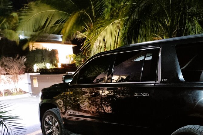 Turks and Caicos: Private ONE-WAY Airport Transfer - Timing and flight monitoring, what you should plan around