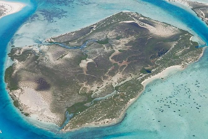 Turtle Eco Tour on Stand-Up Paddleboards or Kayaks into the National Marine Park - The mangrove paddle plan: a smooth path through shallow estuaries