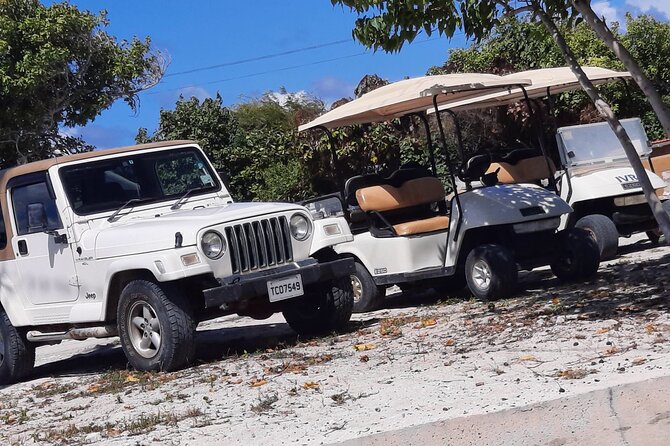 Watkins UTV American Golf Cart Rentals - Checking the cart in the first five minutes (before you go far)